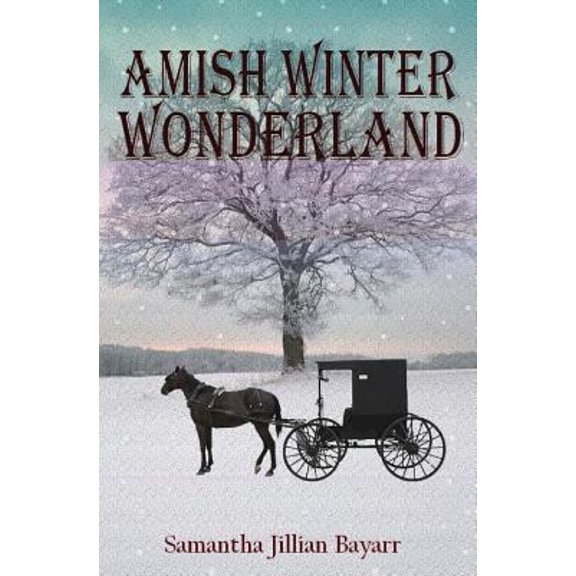 Pre-Owned Amish Winter Wonderland: Book Two (Paperback) 0615621600 9780615621609