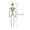 B110, variant on CVLNCYCLING 15” Halloween Hanging Skeleton, Whole Body Movable Joints, Graveyard Haunted House Decoration, Indoor Outdoor Display, Spooky Party Prop