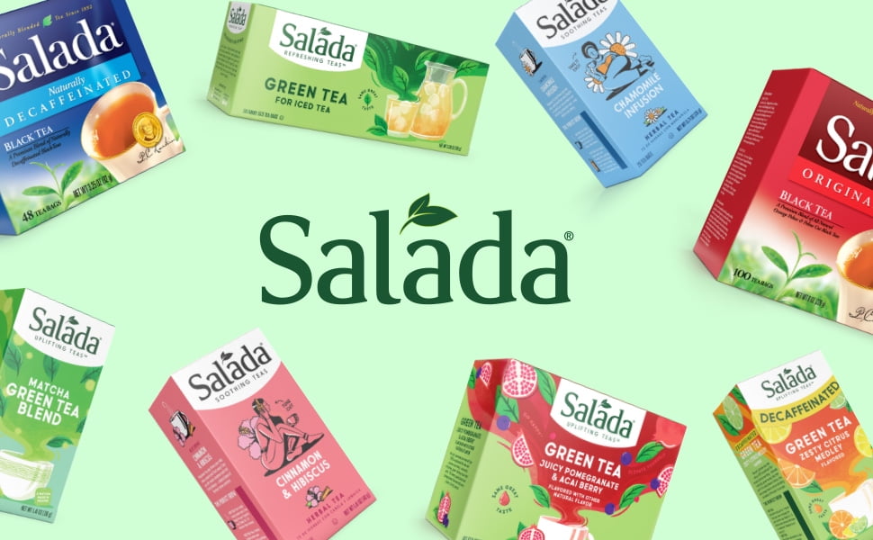 Salada Family Size Pure Green Tea for Iced Tea 24 Tea Bags Pack of 12 Refreshing Brewed Hot Served Cold Iced Tea