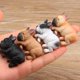 thumbnail image 4 of Miniatura de perro cachorro de resina, artesanía, decoraciones para casa de muñecas Marrón claro, 4 of 8