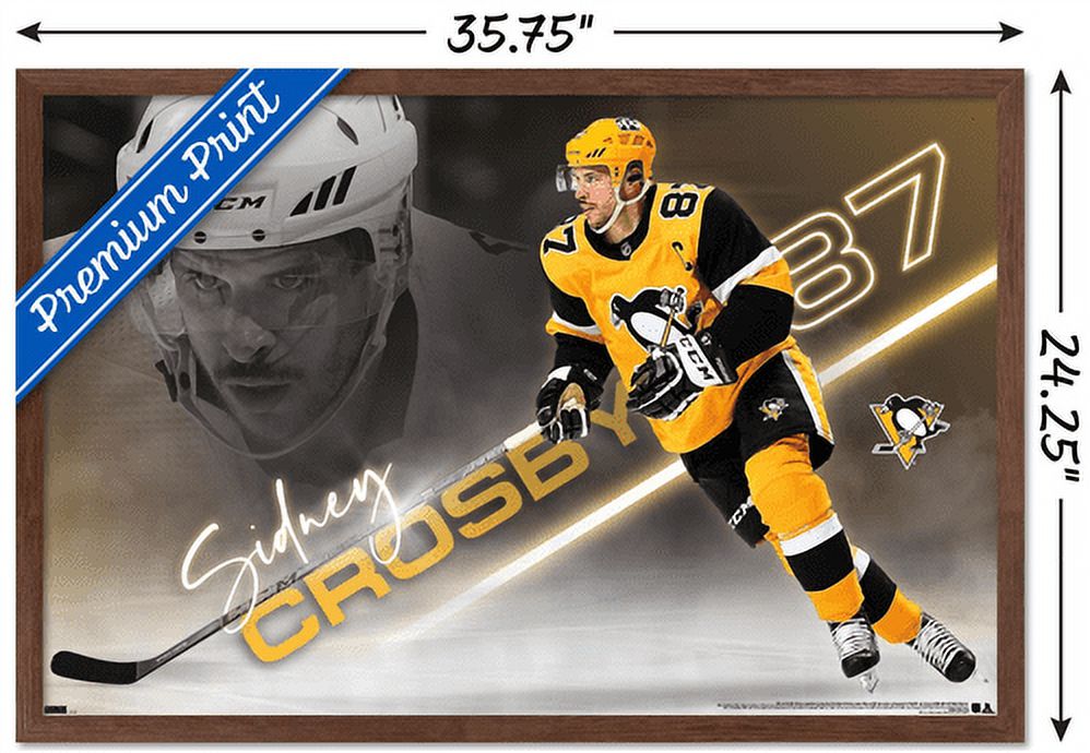 NHL Pittsburgh Penguins - Sidney Crosby 21 Wall Poster, 22.375" x 34", Framed