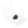 thumbnail image 1 of Phenofice 1Pcs Meteorite Specimen Space Sample For Adults Educational Scientific Study Teaching Aid, 1 of 7