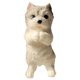 thumbnail image 1 of Juguete Para Gatos Y Perros Gordos. Juguete Adorable Para Mascotas. Gato Suave Antiestrés. Apto Para Adultos Y Niños. Pascua, Navidad Y Cumpleaños., 1 of 2
