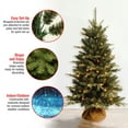 thumbnail image 5 of 4 ft. Pre-Lit Artificial Burlap Tree, Clear Lights, Feel Real Branch Tip Technology, 5 of 6