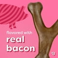 thumbnail image 4 of Benebone Essentials 2-Pack Wishbone Bacon & Chicken M/L, 4 of 8