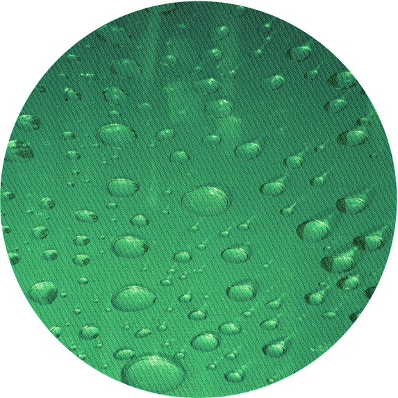 Ahgly Company Machine Washable Indoor Round Transitional Forest Green Area Rugs, 7' Round