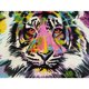 thumbnail image 1 of Drill Diamond Painting (DF3536) 5D DIY Kit de bordado de punto de cruz completo (Tiger09) 30x40cm FLhrweasw Nuevo, 1 of 1