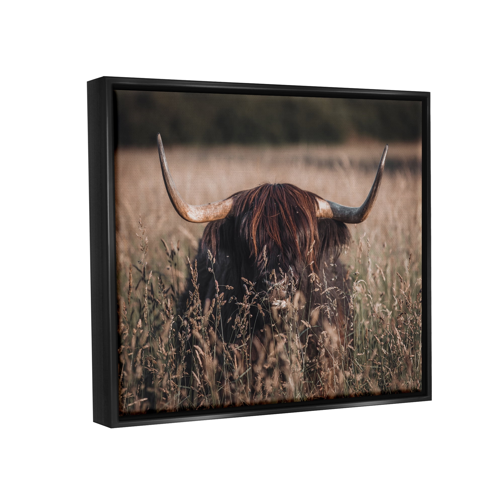 Stupell Industries Highland Cattle in Tall Grass Animals & Insects Photography Black Floater Framed Art Print Wall Art