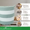 thumbnail image 4 of Planterist Cesta Organizadora Grande Tejida – Algodón Lavable, Plegable y Portable – Multiusos 33.5x34 cm para Almacenaje, Decoración y Ropa Sucia (Santa Catarina), 4 of 9