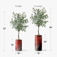 thumbnail image 4 of Artificial Tree in Modern Planter, Fake Eucalyptus Silk Tree for Indoor and Outdoor Home Decoration - 57" Overall Tall (Plant Pot Plus Tree), 4 of 5