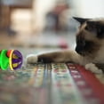 automatic cat toy cat products dog entertainment toys for home alone