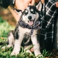 thumbnail image 2 of TIELUTT Cool Pet Scarf Cool Scarf for Dogs Summer Heat Prevention Cool Scarf for Dogs Neck Dog Name Dog Colors Dog Name Christmas Dog Custom Dog Color, 2 of 5