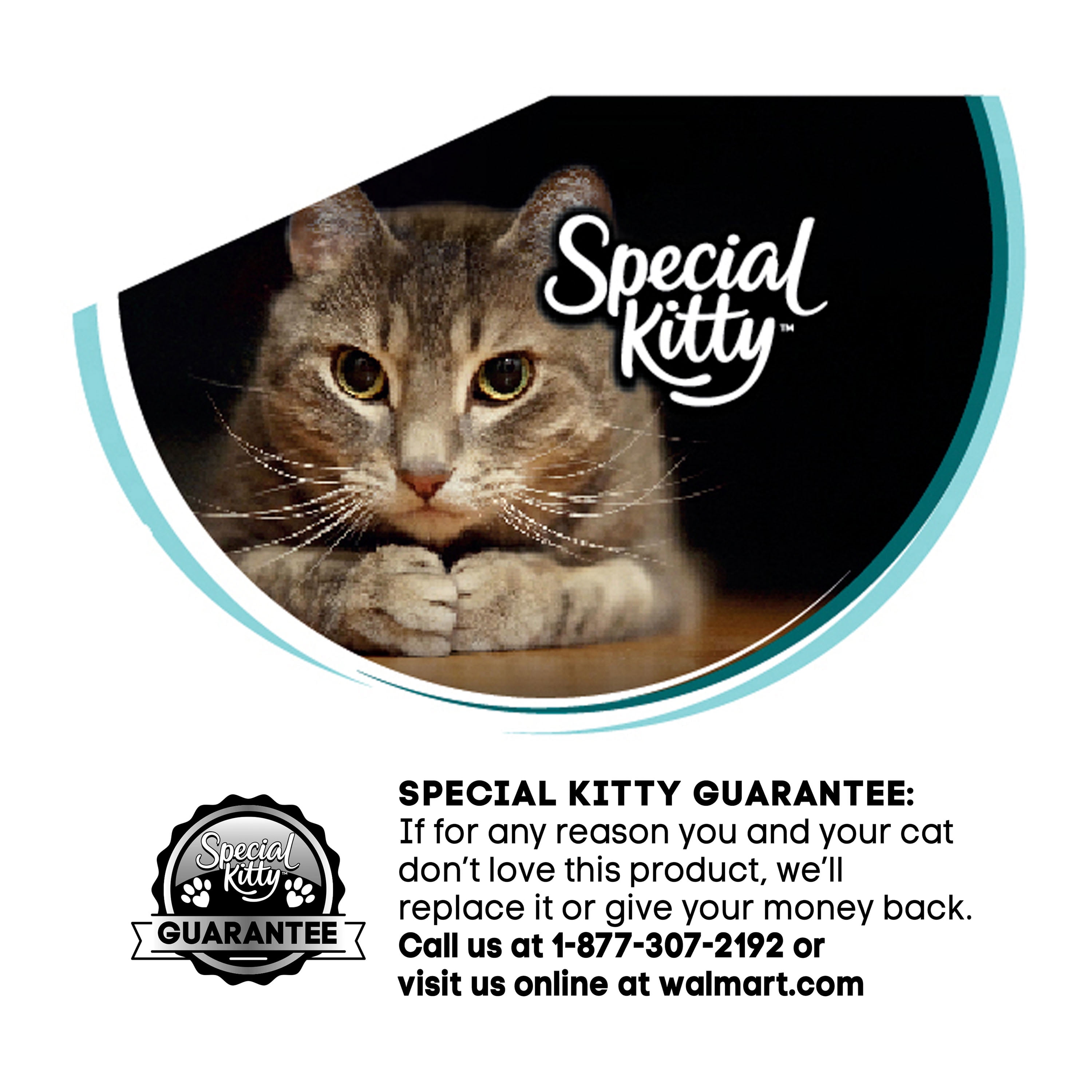 Special Kitty Chicken Flavor Dry Cat Food 14 lb. Bag
