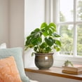 thumbnail image 3 of Ordivic 6 inch Vintage Brown Self Watering Ceramic African Violet Pot with Inner Pot,Indoor Porch Planter for ZZ Plant,Cactus ,Shelf,Table Decor, 3 of 7