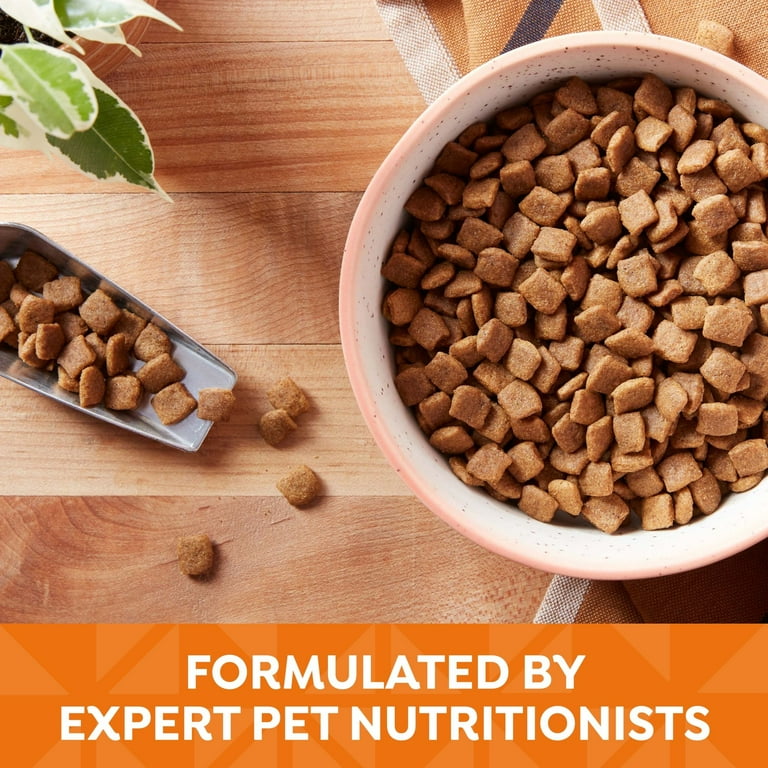 Nature recipe dog food chicken hotsell sweet potato
