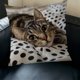thumbnail image 4 of CaiYueKe Cats Linen Pillow Cover Decorative Cushion Case Bohemian Style Sofa Bed Throw Pillowcase Home Decor Accent Pillow Shams for Living Room Bedroom, 4 of 7