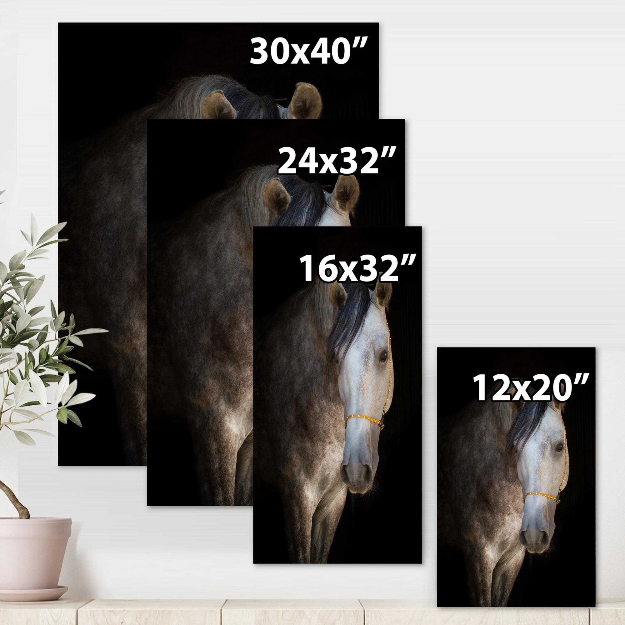 Designart ' Close Up Portrait Of A White Horse ' Farmhouse Canvas Wall Art Print