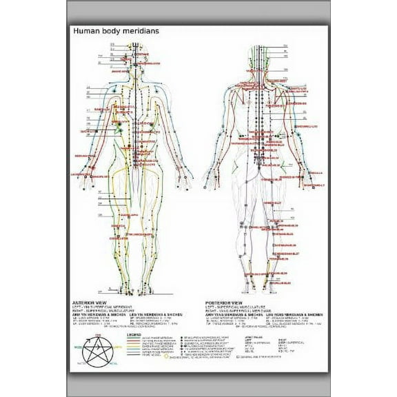 20x30 Poster; Chinese Or Human Body Meridians For Martial Arts & Medicine