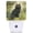 Fluffy Black Jungle, variant on Tidepool Pug Dusk to Dawn Night Light, Plug-in Warm Lamp for Hallway Bathroom Bedroom Kitchen