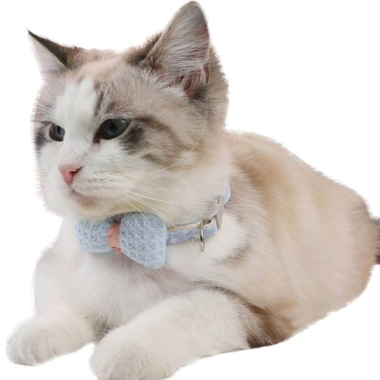 Coastal cat outlet collars