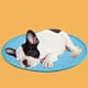 thumbnail image 5 of Pet Cool Off Mat For Dogs Cats-Ice Silk Dog Cool Off Mats Portable Washable Pet Cool Off Blanket For Kennel/Sofa/Bed/Floor/Car Seats Pet Supplies, 5 of 7