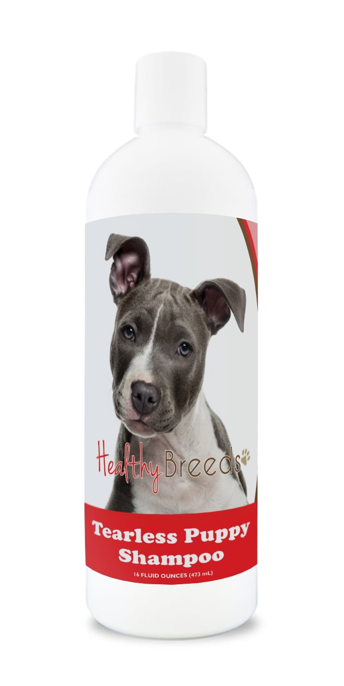Healthy Breeds American Staffordshire Terrier Tearless Puppy Dog