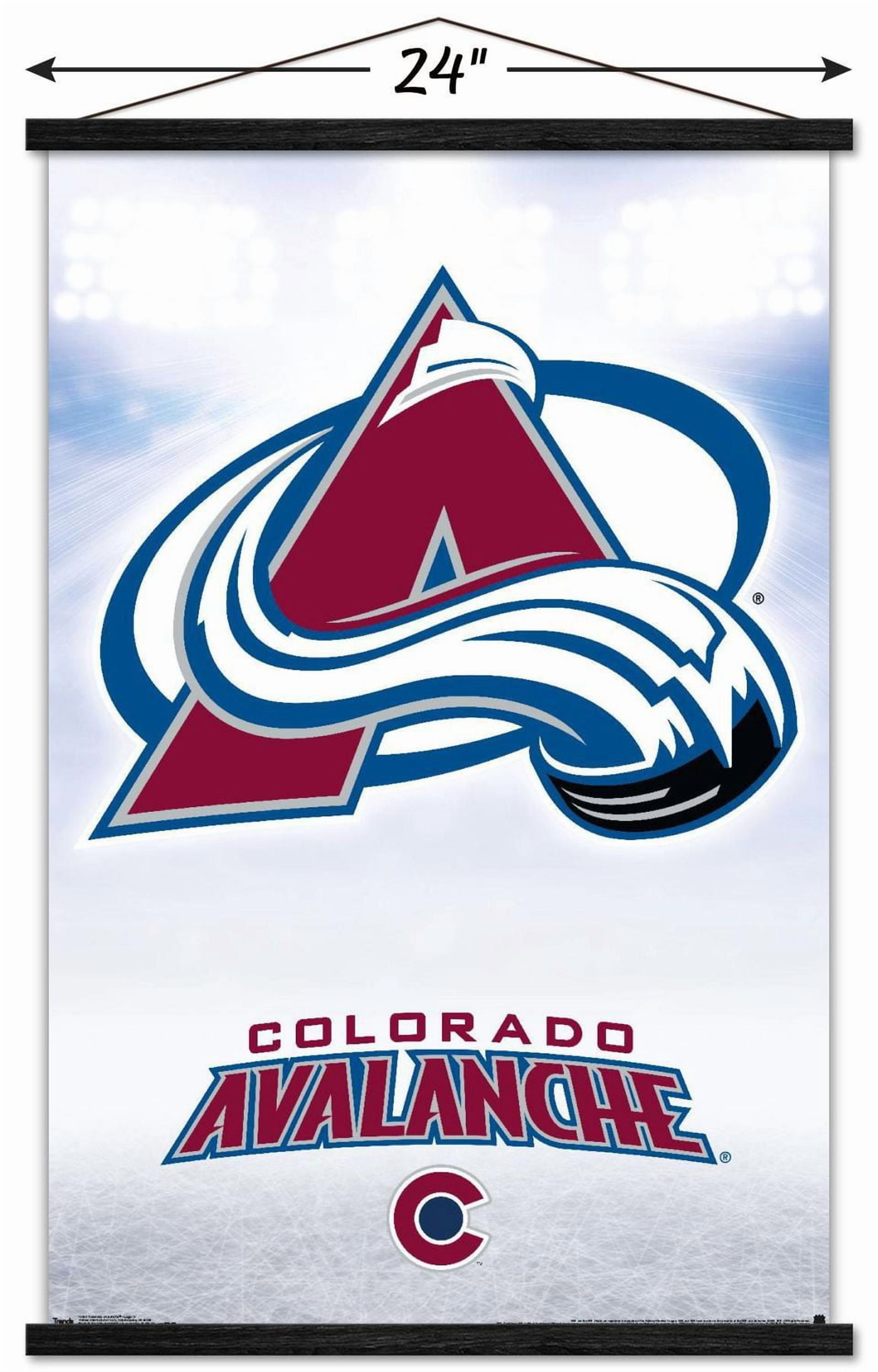 Avalanche du Colorado de la LNH