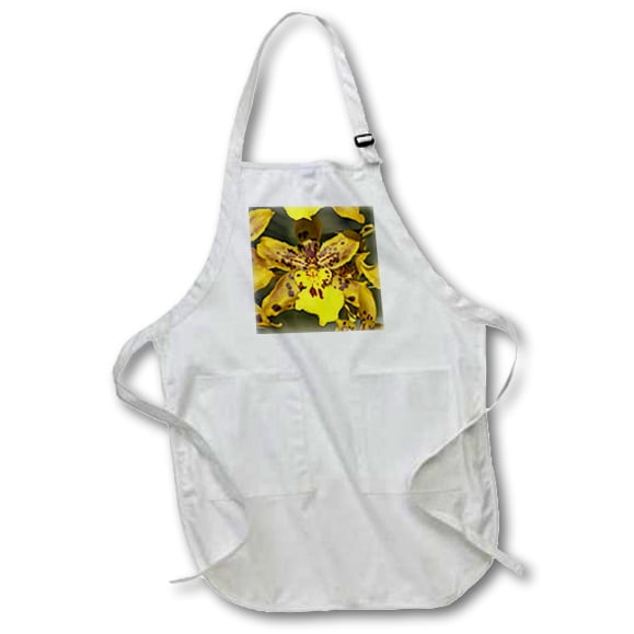 Broad Bay University of Oregon Dad Aprons NCAA UO Dad Apron w//Pockets