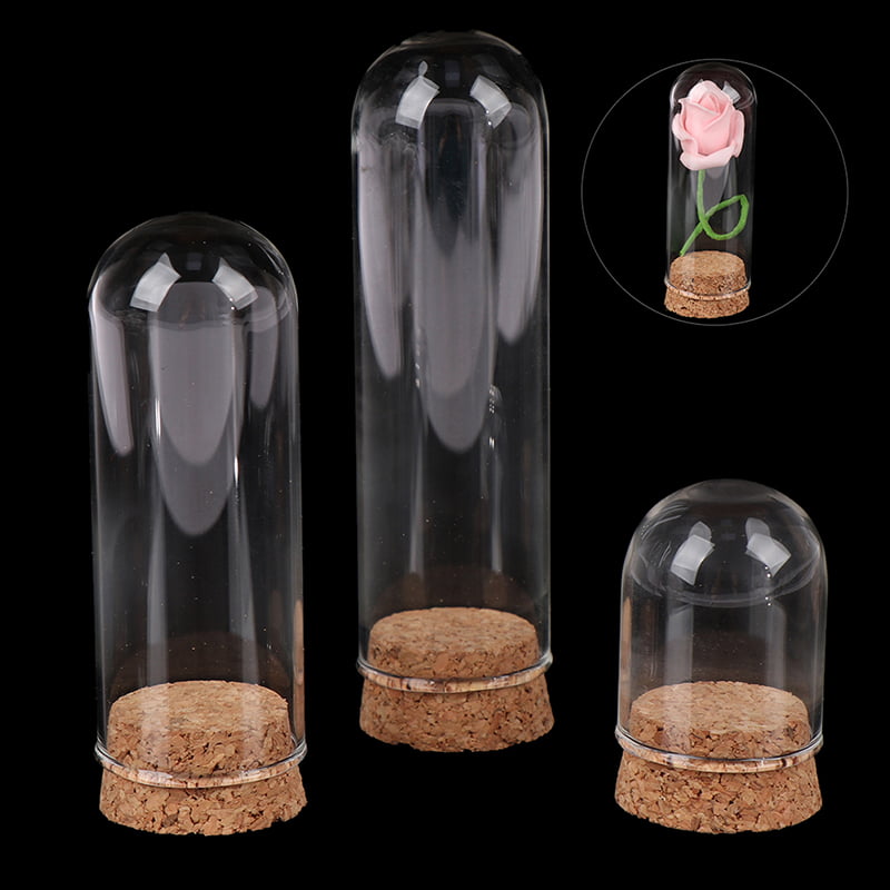2pcs Cutest Miniature Glass Display Bell Tray Jar Dome Doll Storage Chic Gift 