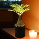 thumbnail image 5 of Lámpara de noche de árbol de luz Wdftyju con enchufe USB LED (palma), 5 of 9