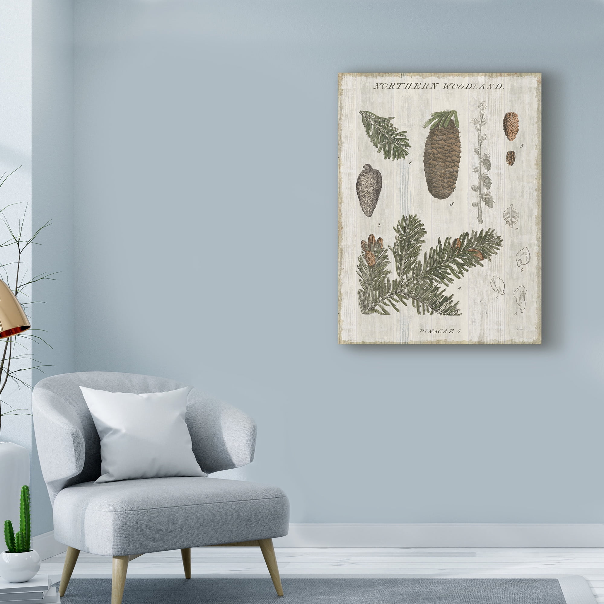 Trademark Fine Art 'Woodland Chart IV' Canvas Art by Sue Schlabach
