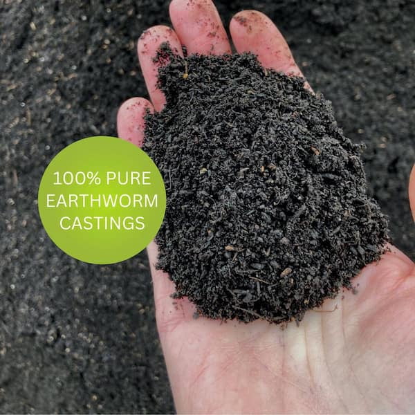 Earth Science Organic Earthworm Castings, 12 lb, Improves Soil Health, Promotes Vibrant Growth, Natural Food for Indoor & Outdoor Plants – Soil Builder for Vegetable Gardens