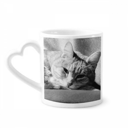

Animal Pure Gray Cat Photograph Picture Mug Coffee Cerac Drinkware Glass Heart Cup