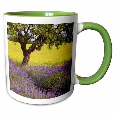 3dRose Tree, lavender, mustard fields, Provence, France - EU09 BJN0164 - Brian Jannsen - Two Tone Green Mug,