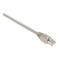 thumbnail image 1 of Black Box GigaBase 350 - Patch cable - RJ-45 (M) to RJ-45 (M) - 1 ft - UTP - CAT 5e - booted, snagless - beige, 1 of 2