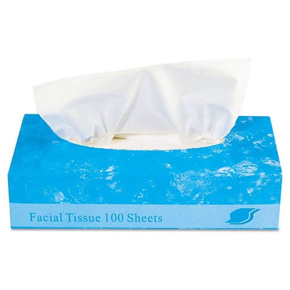 GEN Boxed Facial Tissue, 2-Ply, White, 100 Sheets/Box -GENFACIAL30100
