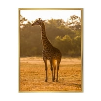 Designart 'African Giraffe In The Wildlife II' Farmhouse Framed Canvas Wall Art Print