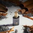 thumbnail image 4 of Stetson Black Colonia Spray de Coty Coty Model, 4 of 5