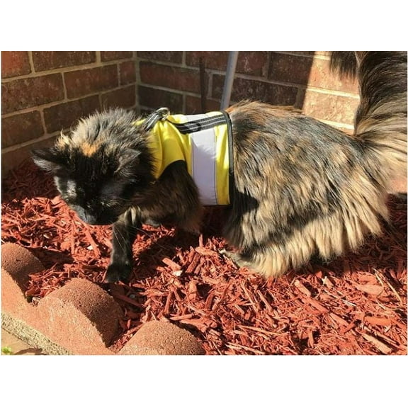 Kitty Holster Reflective Safety Harness (Made in USA) Color: Sunshine Yellow, Size: XS