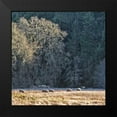 thumbnail image 2 of Crane, Rita 20x20 Black Modern Framed Museum Art Print Titled - Sheep and Oak Trees, 2 of 5