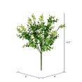 thumbnail image 3 of Vickerman FI190501 14.5 Po. Vert Clair Money Leaf Bush, 3 of 3