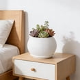 thumbnail image 4 of Macetas artificiales con platillos | Macetas decorativas de plástico para uso interior y exterior | Macetas pequeñas y medianas para suculentas y plantas de interior | Juego de 1, 4 of 6