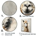 thumbnail image 3 of Designart "Grunge-Styled Minimalism: Alpaca" Alpaca Floater Framed Wall Decor, 3 of 5