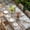 Green, variant on Retro Farms Table Cloths for 4 Foot Rectangle Tables, Farmhouses Vintage Cabin Barn Wood Plank Patio Waterproof Elastic Fitted Tablecloths, Washable Rectangular Table Cover for Camping