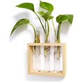 thumbnail image 1 of Estación de macetero de vidrio para propagación de plantas para colgar en la pared, 3 tubos con soporte de madera, florero de escritorio, color beige, 1 of 5