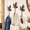 Hummingbird, variant on Palm trees Cast Iron Wall Hooks for Bathroom and Home Organization