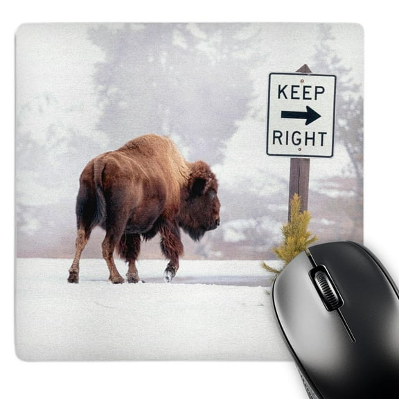 3dRose, Buffalo looking for Direction. Yellowstone National Park. Wyoming., MousePad