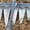Multi, variant on KONTONTY Steel Garden Rake for Loosening Soil and Cultivating with Sturdy Four Teeth in Plated Silver