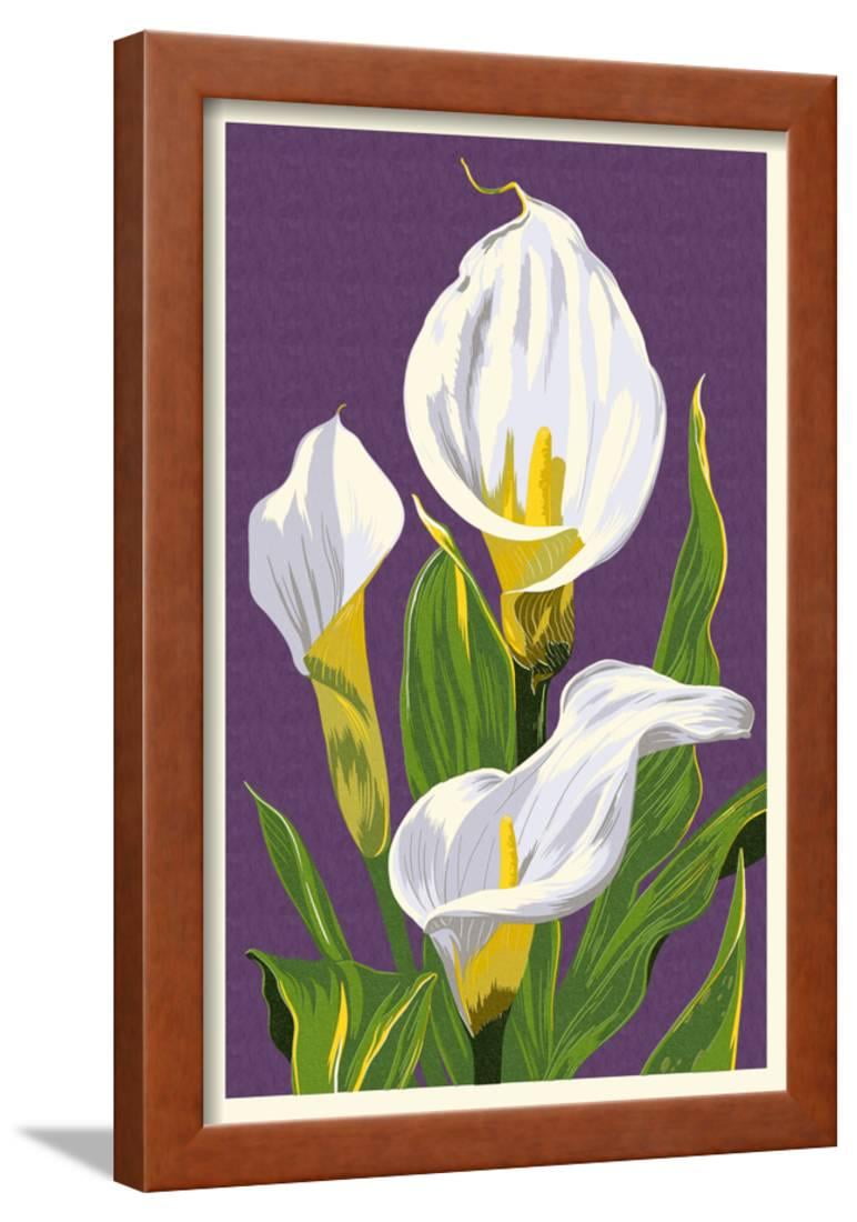 Calla Lily Framed Print Wall Art By Lantern Press