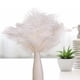 thumbnail image 5 of Tmvgtek 10 Plumas De Avestruz Esponjosas Para Fiestas De Bodas, Plumas De 25 A 30 Cm (Blanco) Tmvgtek Para estrenar, 5 of 8